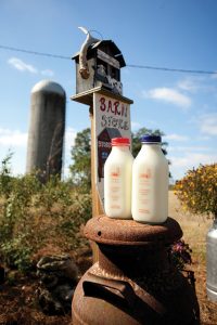 Mauthie_Farms-4